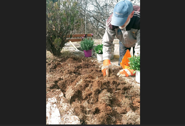 Παρεμβάσεις αναβάθμισης πρασίνου σε κεντρικά σημεία της Πεντέλης