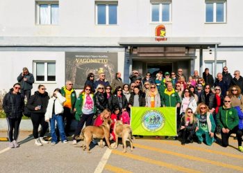 Πεζοπόροι Χαλανδρίου