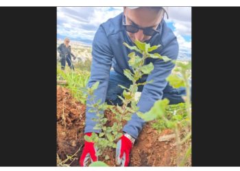 Νέα δράση δεντροφύτευσης πραγματοποιήθηκε στα Άνω Βριλήσσια