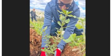 Νέα δράση δεντροφύτευσης πραγματοποιήθηκε στα Άνω Βριλήσσια