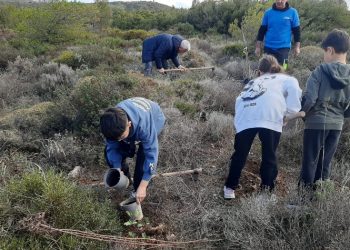 Δεντροφύτευση στον Κοκκιναρά Κηφισιάς την Κυριακή15/3