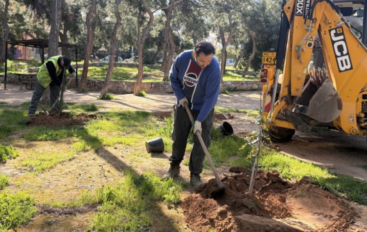 Δεντροφύτευση στο Άλσος «Α. Παπανδρέου» στον Χολαργό
