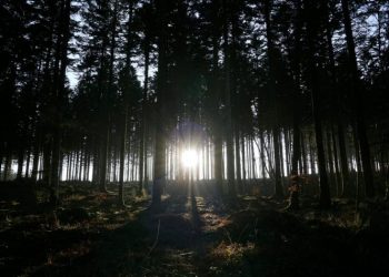 Χρύσα Σουγιούλ