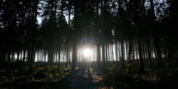 Χρύσα Σουγιούλ