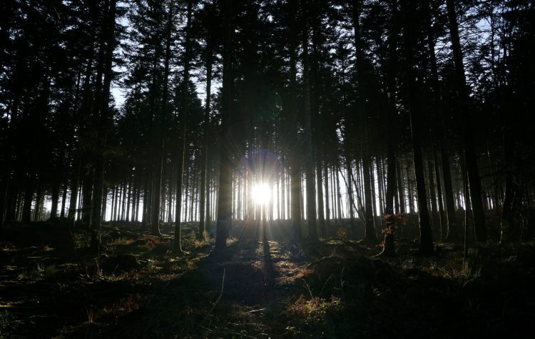 Χρύσα Σουγιούλ