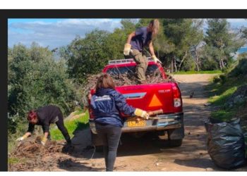 Μ. Τάρλας: «Έχουμε απομακρύνει εκατοντάδες ξερά πεύκα»