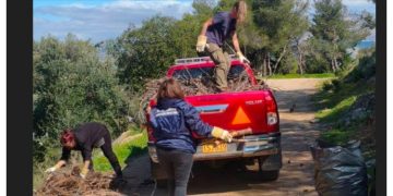 Μ. Τάρλας: «Έχουμε απομακρύνει εκατοντάδες ξερά πεύκα»