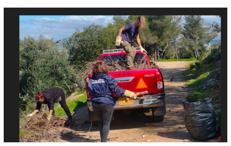 Μ. Τάρλας: «Έχουμε απομακρύνει εκατοντάδες ξερά πεύκα»