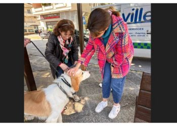 Μια ξεχωριστή εκδήλωση για τα αδέσποτα στην Πεντέλη