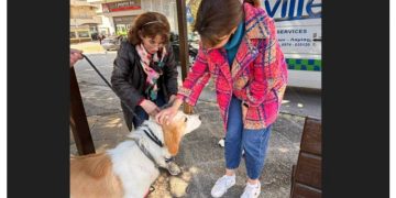 Μια ξεχωριστή εκδήλωση για τα αδέσποτα στην Πεντέλη