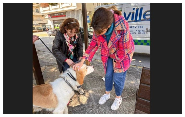 Μια ξεχωριστή εκδήλωση για τα αδέσποτα στην Πεντέλη