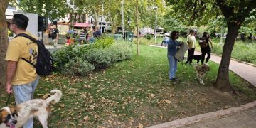 Ο Δήμος Ηρακλείου συνεχίζει να επενδύει στην προστασία των ζώων