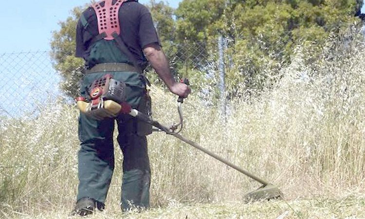 Ξεκινάνε οι υποχρεωτικοί καθαρισμοί των ιδιωτικών οικοπέδων