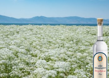 Στο Λισβόρι της Λέσβου ξεκινά μια παράδοση 130 ετών