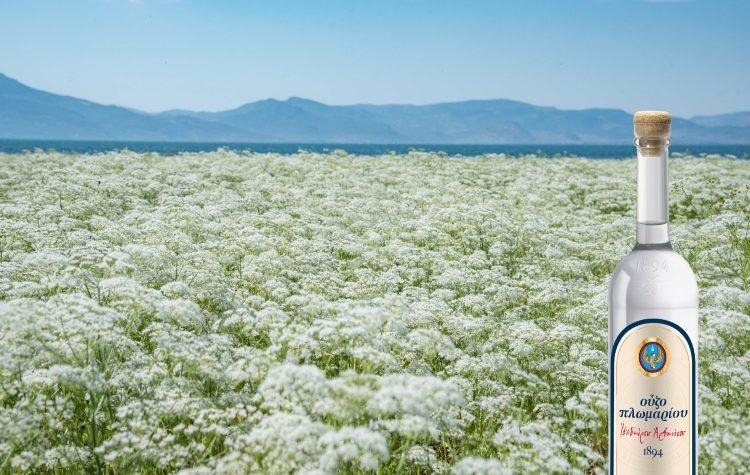 Στο Λισβόρι της Λέσβου ξεκινά μια παράδοση 130 ετών