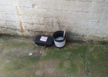 Παγίδες ωοθεσίας κουνουπιών