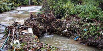 Καθαρό το ρέμα «Βρυσάκι» στον Άγιο Στέφανο σύμφωνα με την έκθεση της Περιφέρειας Αττικής