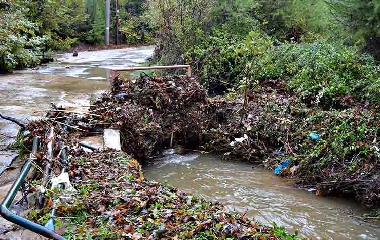 Καθαρό το ρέμα «Βρυσάκι» στον Άγιο Στέφανο σύμφωνα με την έκθεση της Περιφέρειας Αττικής