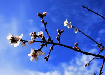 Ο Φεβρουάριος ανάμεσα στους πιο θερμούς παγκοσμίως στα χρονικά, ακραίες βροχοπτώσεις στην Ευρώπη