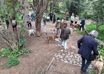 «Κυνηγώντας την ουρά μας»