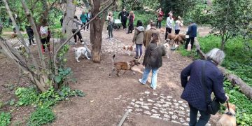 «Κυνηγώντας την ουρά μας»