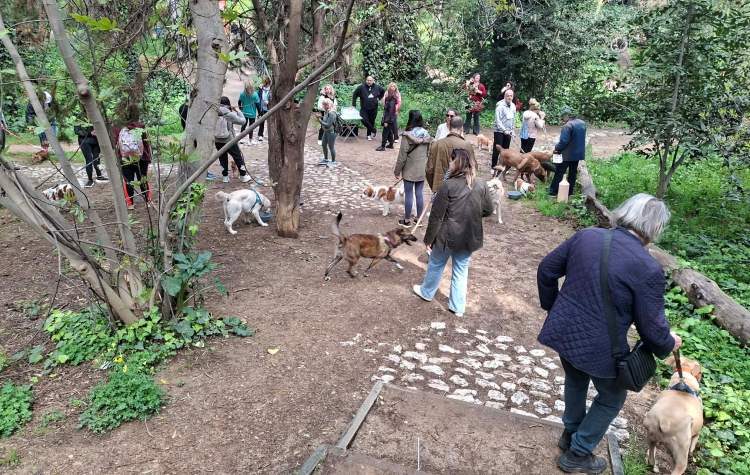 «Κυνηγώντας την ουρά μας»