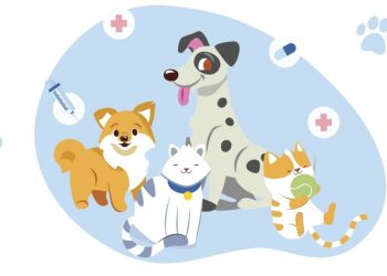 Επιχορήγηση του Τμήματος Δεσποζόμενων ζώων του Δήμου