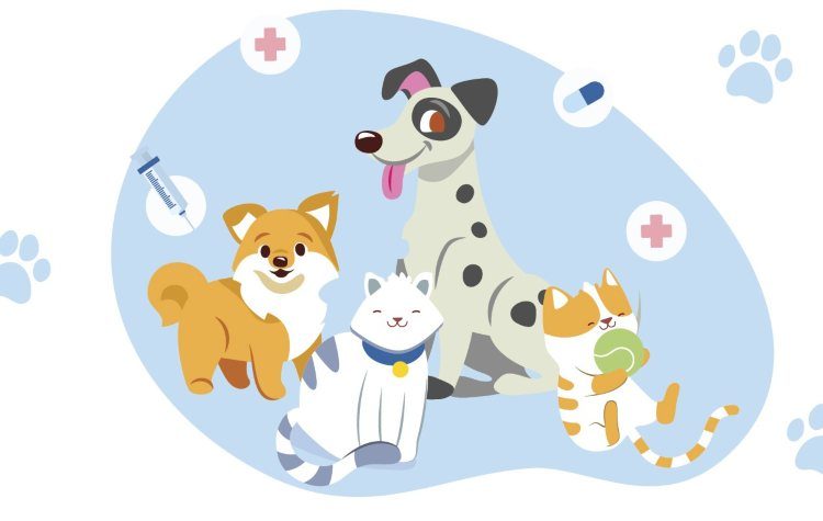 Επιχορήγηση του Τμήματος Δεσποζόμενων ζώων του Δήμου