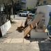 «Έπεσαν» πρόστιμα από την Υπηρεσία Καθαριότητας του Δήμου