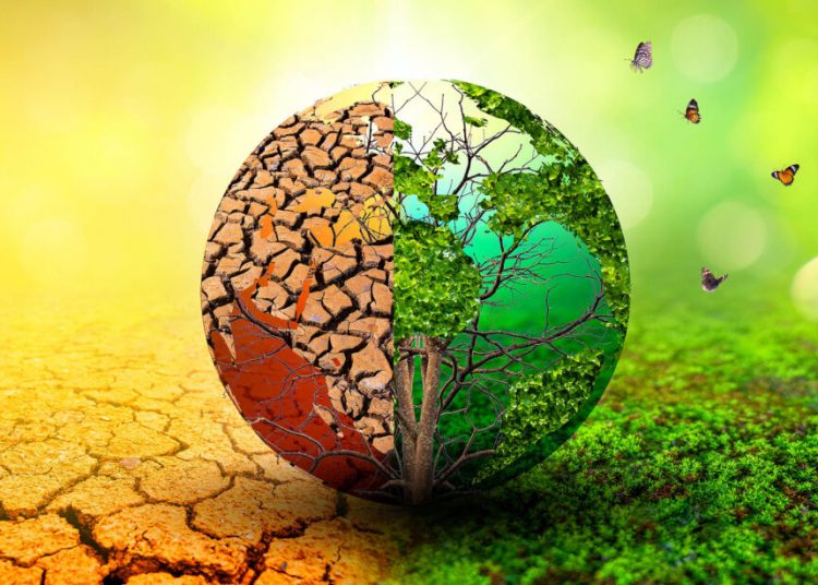 Το μήνυμα του Βλάσση Σιώμου για την Ημέρα της Γης 2026