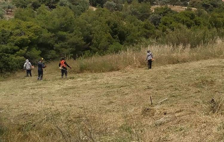 Kαθαρισμοί οικοπέδων