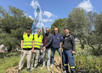 Πράσινη ενίσχυση με βελανιδιές στα Άνω Βριλήσσια