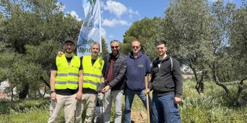 Πράσινη ενίσχυση με βελανιδιές στα Άνω Βριλήσσια