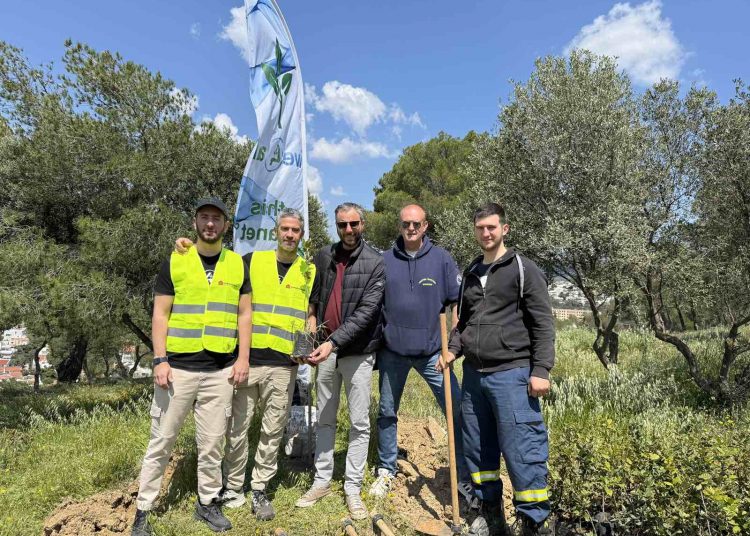 Πράσινη ενίσχυση με βελανιδιές στα Άνω Βριλήσσια