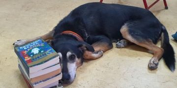 1o ΕΠΑΛ: Ο σκύλος Ντέρεκ πάει… σχολείο