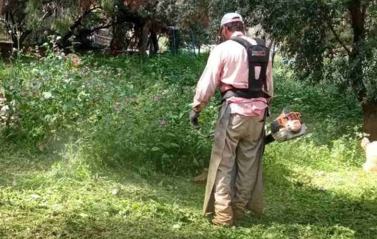 Καθαρισμοί