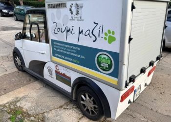 Παρέμβαση του Δήμου για δηλητηριάσεις ζώων