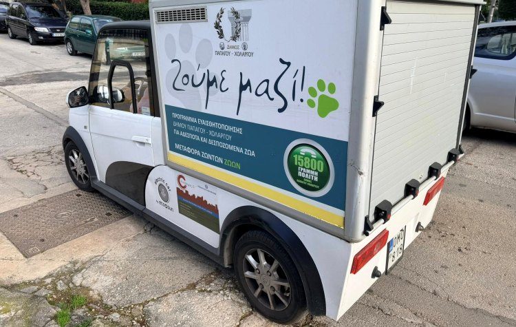 Παρέμβαση του Δήμου για δηλητηριάσεις ζώων