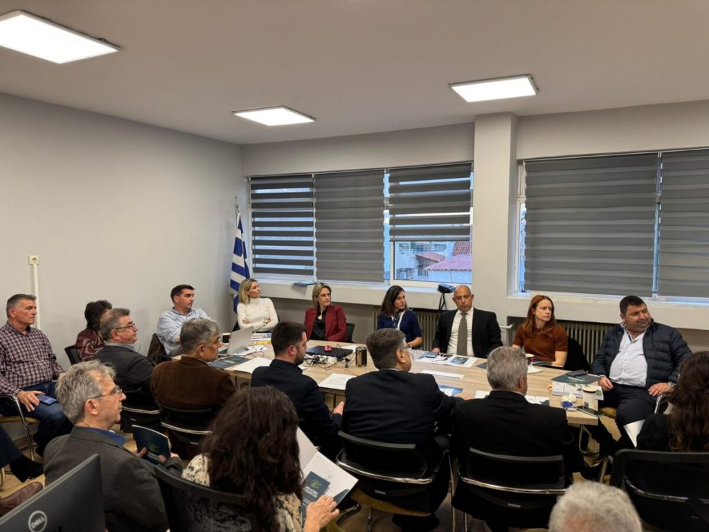 Στιγμιότυπο του Εργαστηρίου Στρατηγικής του Ελ.Δ.Α.Π. - Adaptation Hub Greece, Νοέμβρης 2025