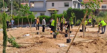 «Ένεση» πρασίνου στο Άνω Πάτημα