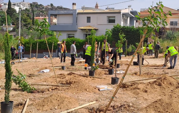 «Ένεση» πρασίνου στο Άνω Πάτημα