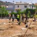 «Ένεση» πρασίνου στο Άνω Πάτημα