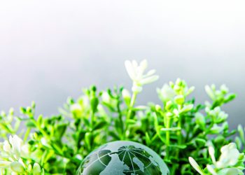 Έκκληση για Δράση για το Κλίμα