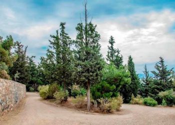 Αντίδραση ΚΕΔΕ στις «αιχμές» Τουρνά για την πυροπροστασία: «Θέλουμε την Πολιτεία δίπλα μας κι όχι απέναντί μας»