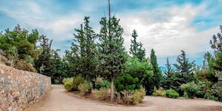 Αντίδραση ΚΕΔΕ στις «αιχμές» Τουρνά για την πυροπροστασία: «Θέλουμε την Πολιτεία δίπλα μας κι όχι απέναντί μας»