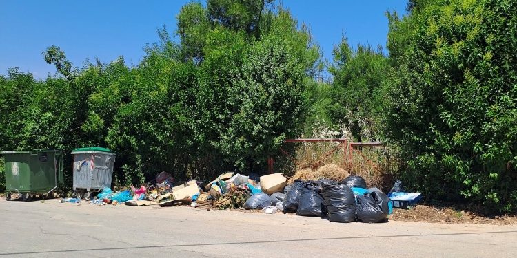 Αιρετοί και πολίτες εκπέμπουν SOS: Διπλό σήμα κινδύνου για πυρασφάλεια και καθαριότητα