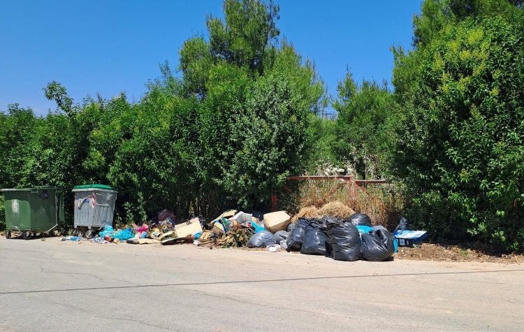 Αιρετοί και πολίτες εκπέμπουν SOS: Διπλό σήμα κινδύνου για πυρασφάλεια και καθαριότητα