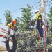 ΔΕΗ FIBER: Σε νέες περιοχές στην Αττική το FTTH internet με 100% οπτική ίνα