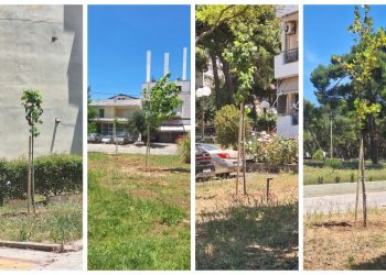Νέες φυτεύσεις δέντρων πραγματοποιήθηκαν στο Ηλιακό Χωριό