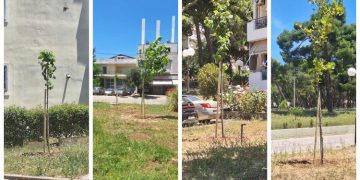 Νέες φυτεύσεις δέντρων πραγματοποιήθηκαν στο Ηλιακό Χωριό